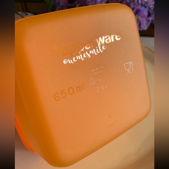 Tupperware Square Rounds Freeze It Container Set - Picture 4 of 5